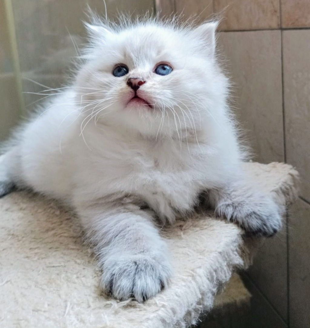 img-20240804-wa00014693105086930134058