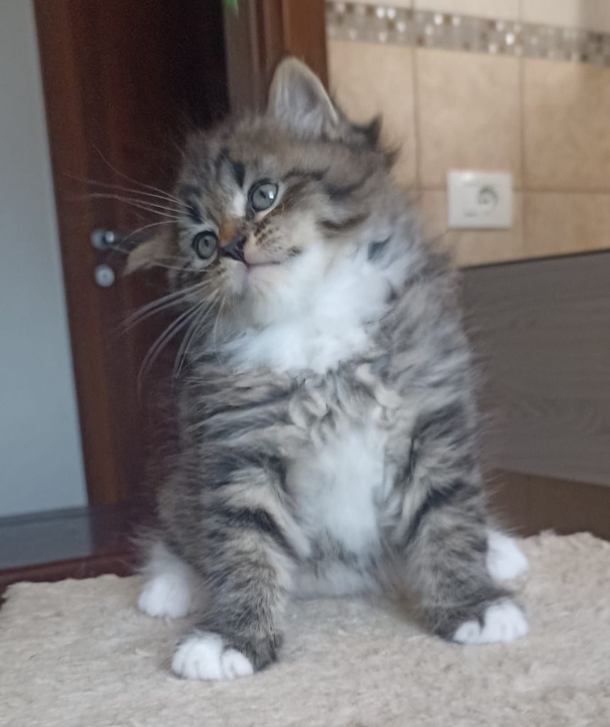 wp-17227584780963315809191556118720