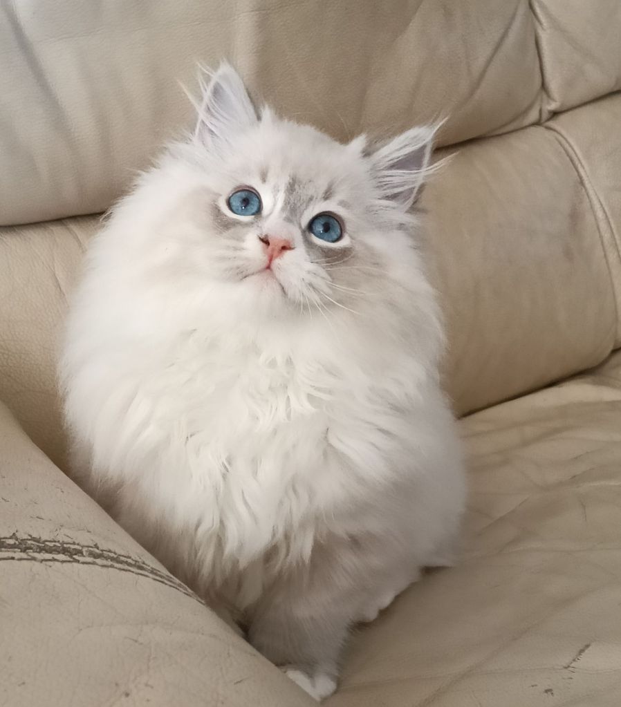 img_20260221_1245057342882411668114598